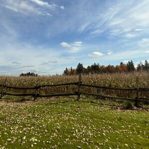 Meet your Posher, Hugo